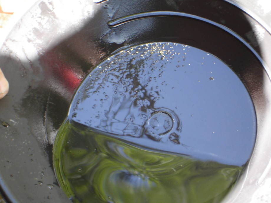 Photo: patti via flickr