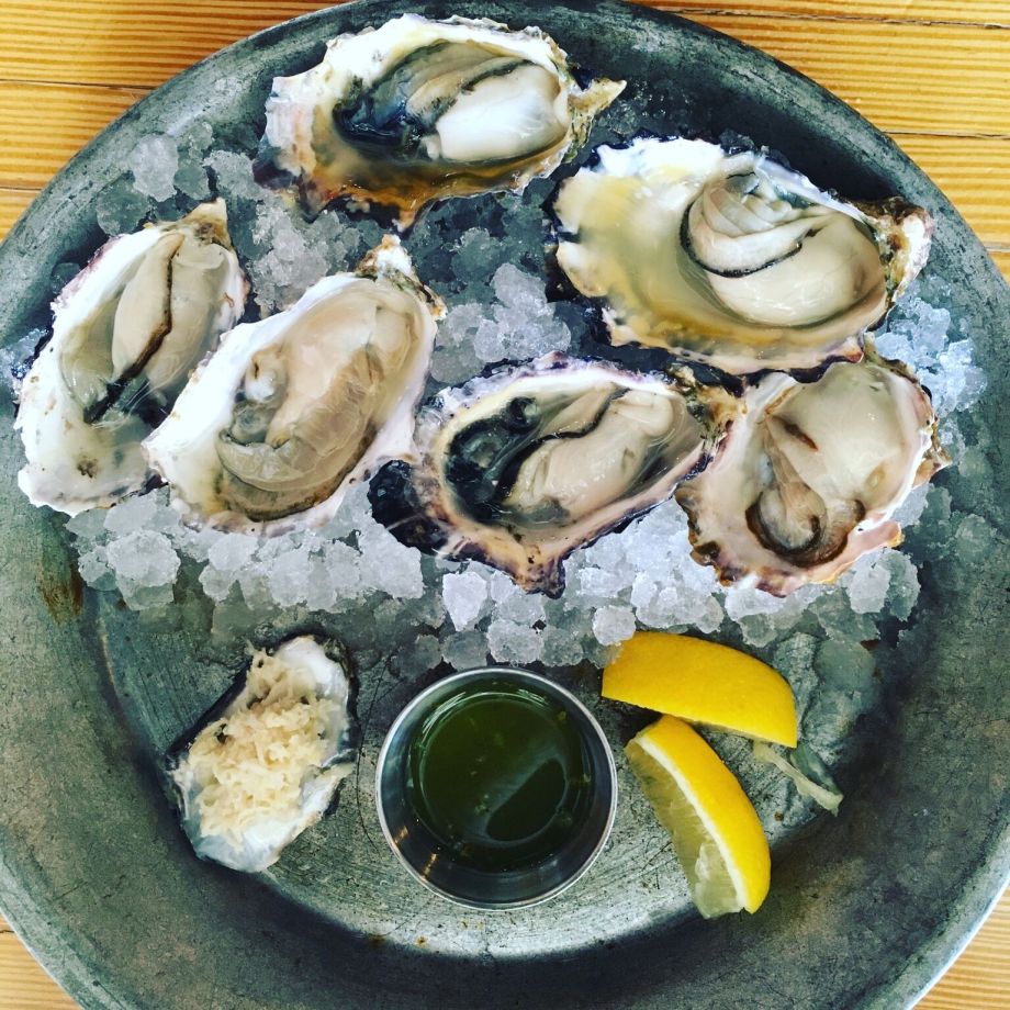 quadra-island-oysters-moderndaynomads-com